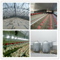 Set completo Automatic Breeder Control Shed Equipment